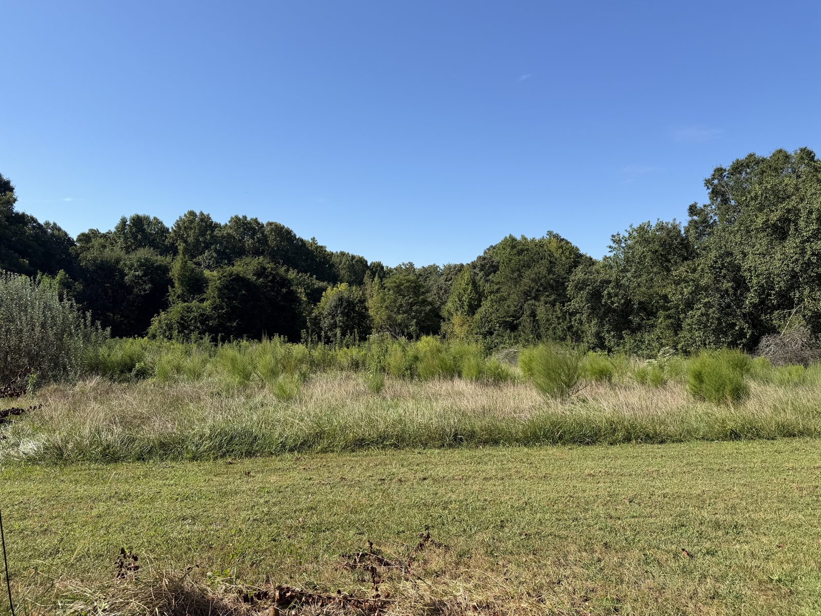 Bentley Road acreage, Cumming GA